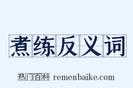 煮练反义词是什么意思的图片